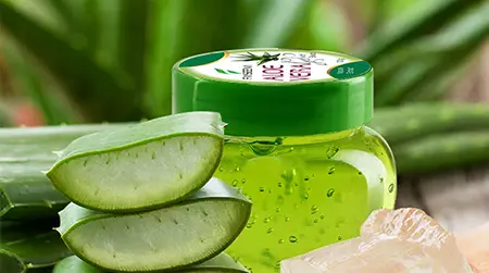 Aloe Vera: Soothes itching and cools inflamed skin.