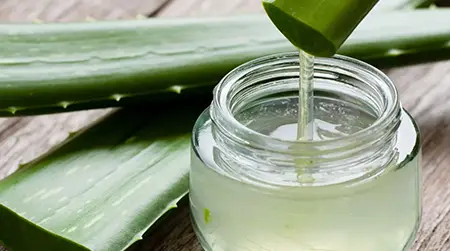 Aloe Vera Gel: Soothes scalp irritation and supports healthy hair follicles.